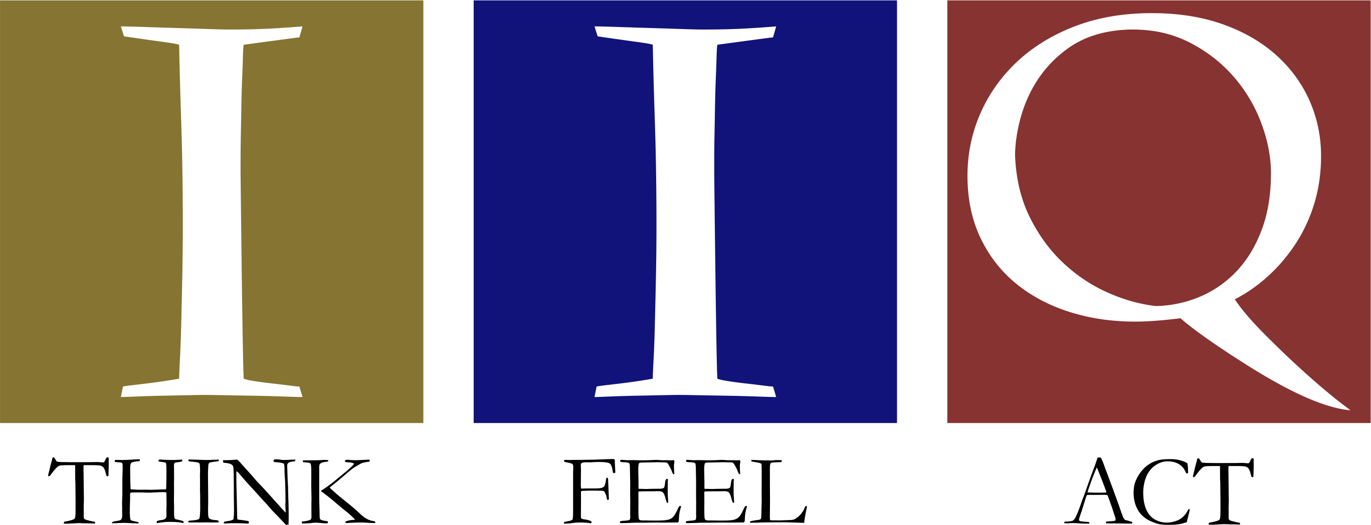 IIQ Systems — Think, Feel, Act
